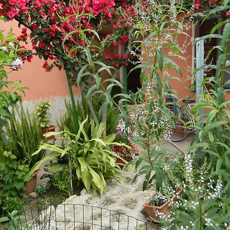 Bed & Breakfast Da Elena *