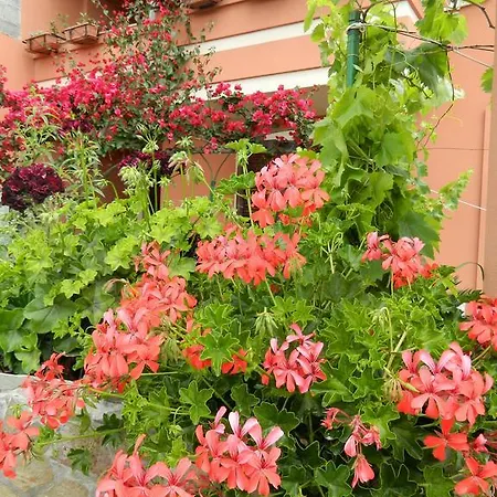 Bed & Breakfast Da Elena Cabras