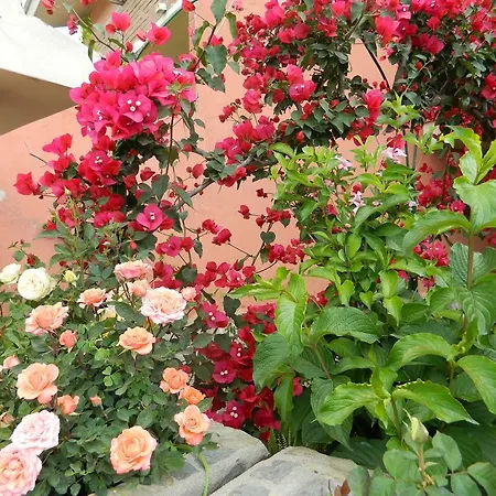 Da Elena Bed & Breakfast